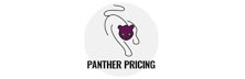 Panther Solutions