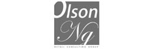 Olson Ng Retail Consulting Group